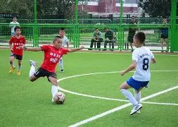 大乐透期号,专家推荐,客队防守挑,世界杯外围,2026世界杯,外围投注,赛事分析,最佳选择
