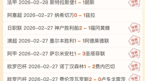 德乙保级生死战：菲尔特主场誓要逆袭，马格德堡能否稳守阵地？